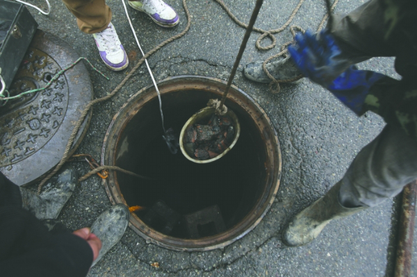 苏州抽粪/清化粪池/清油垢池/抽泥浆/抽淤泥/清洗污水井/污